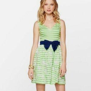 Lilly Pulitzer 100% Cotton Rosewell Floral Embroidered Dress Womens 10